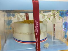 -维尔纳斯·生日蛋糕·动物奶油冰淇淋蛋糕(六里桥店)