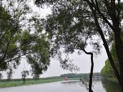 -洪湖生态旅游区