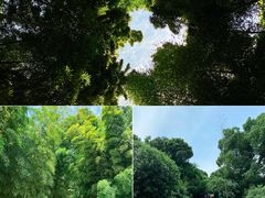 -同里国家湿地公园