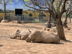 -西安秦岭野生动物园