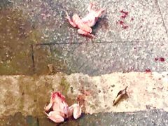 -二0二李记南瓜田鸡老字号(宜宾一店)