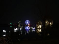-金卉庄园