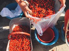 -青岛沙子口国家中心渔港