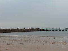 -青岛第二海水浴场