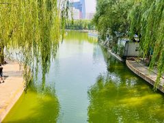 -团结湖公园