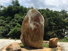 -鹤之洲湿地公园
