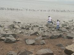 -深圳湾公园(南山区)