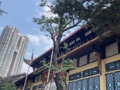 -古大圣慈寺(大慈寺)