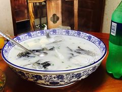 -全乐鱼馆·淳牌有机鱼直营店