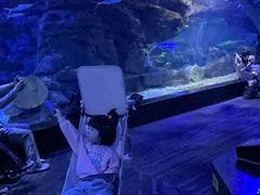 -江和美海洋公园