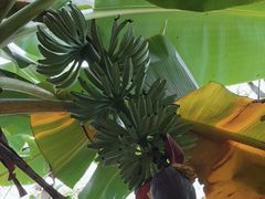 -云溪植物园