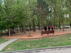 -长春公园(普阳街道)