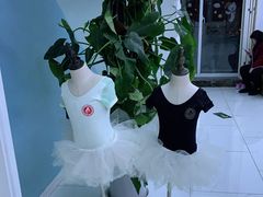 -西安小天鹅艺术团(曲江Alice店)