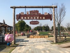 -田园东方蜜桃村的田野营地