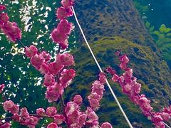 -思南公馆商业街