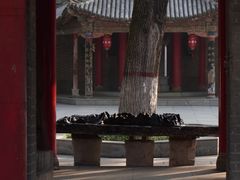 -关中书院