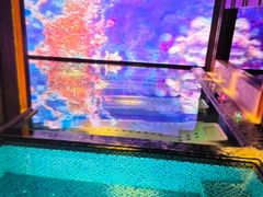 -浅深(北京北四环精品店)
