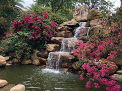 -惠州金海湾嘉华度假酒店