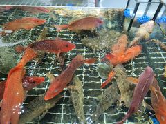 -张家卫·阳江菜·小海鲜(肥婆湾桥店)