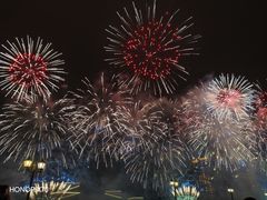 -广州白天鹅宾馆