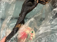 -老字号周记古蔺麻辣鸡·非物质文化遗产传承店