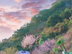 -小南山公园