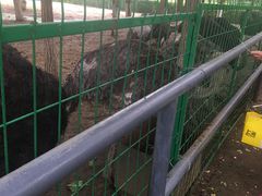 -长白岛森林公园