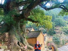 -杨家堂村