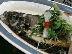 -驻海渔市(置信店)