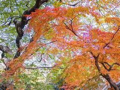 -青岛崂山太清宫