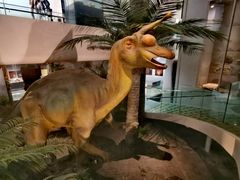 -烟台自然博物馆