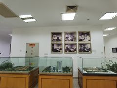 -上海中医药大学附属曙光医院(东部)