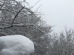 -华山风景名胜区-苍龙岭