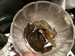 -星伦多自助料理·涮烤一体(虹悦城店)