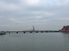 -野狸岛