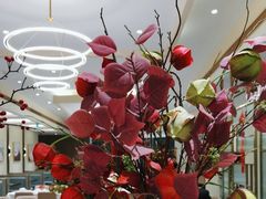 -张生记(丁香国际店)