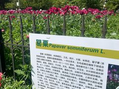 -国家植物园南园