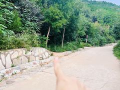 -北京西山国家森林公园