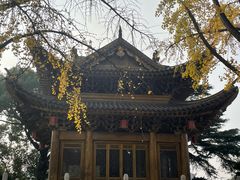 -上海东林寺(金山区)