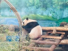 -杭州动物园