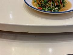 豌豆苗-鑫源渔港(阳光店)
