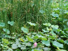 -3W咖啡(国家软件园店)