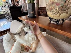 -广富林宰相府酒店·水云间