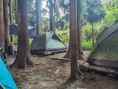 -武陵山森林公园