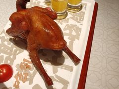 -大鸽饭(动物园店)