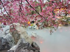 -东湖磨山景区