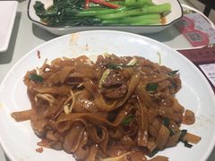 -南枝记