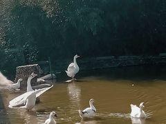 -白鹿原影视城
