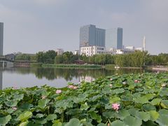 -西海子公园