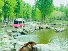 -北京野生动物园